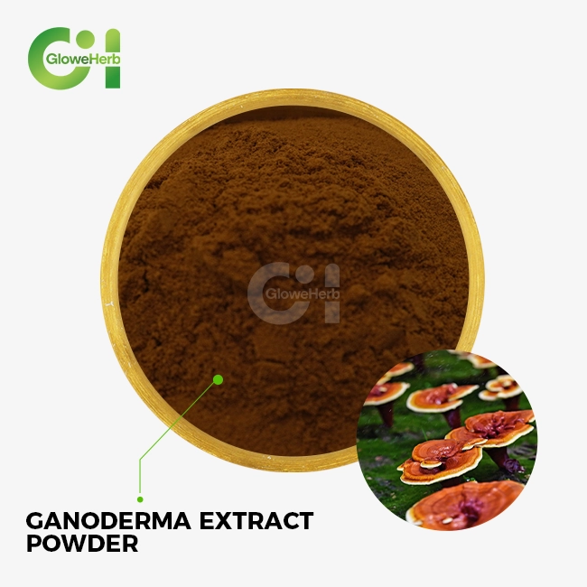 ganoderma extract powder